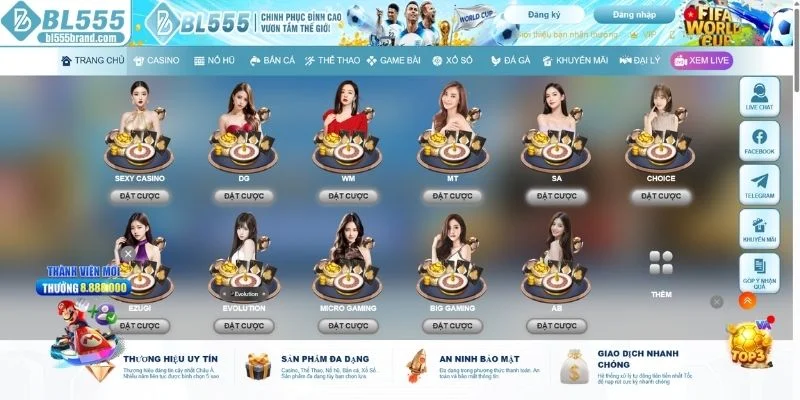 BL555 là gì? Tìm hiểu thông tin sơ lược