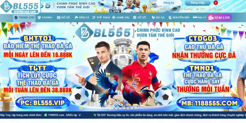 Giới thiệu BL555 tổng quan